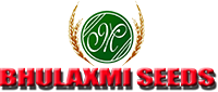 Bhulaxmi client logo
